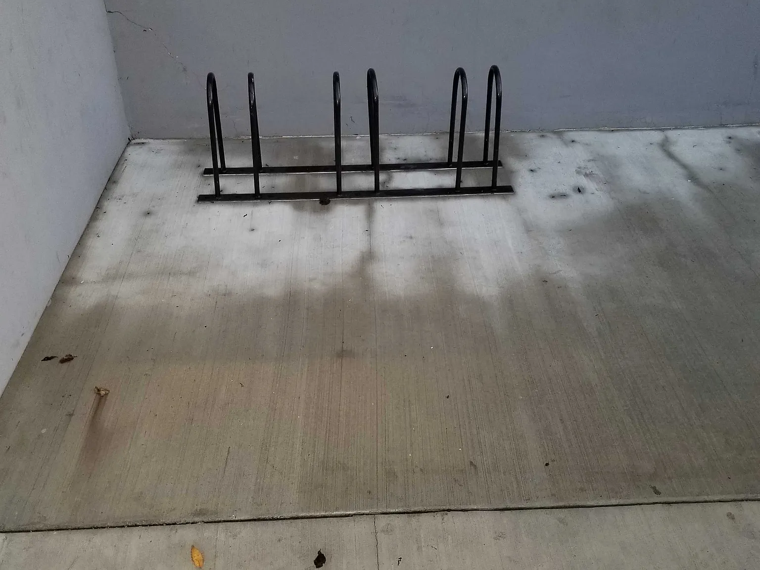 3 bed, $3,695 — Photo 3