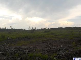 Mary Hubbard Rd, Clio, SC 29525