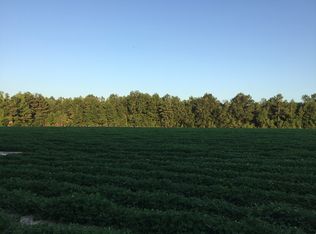 1234 Augusta Hwy, Smoaks, SC 29481