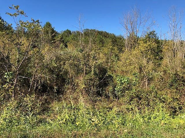 2nd image of 12 Mooresburg Springs Rd
