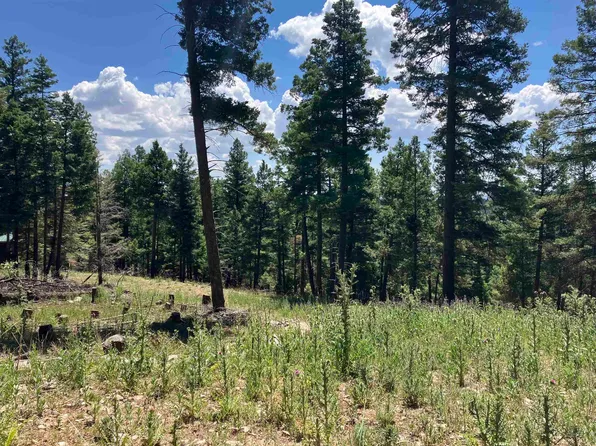 Big Dipper Rd, Cloudcroft, NM 88317