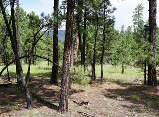 1 P O Co Rd #X, Alpine, AZ 85920
