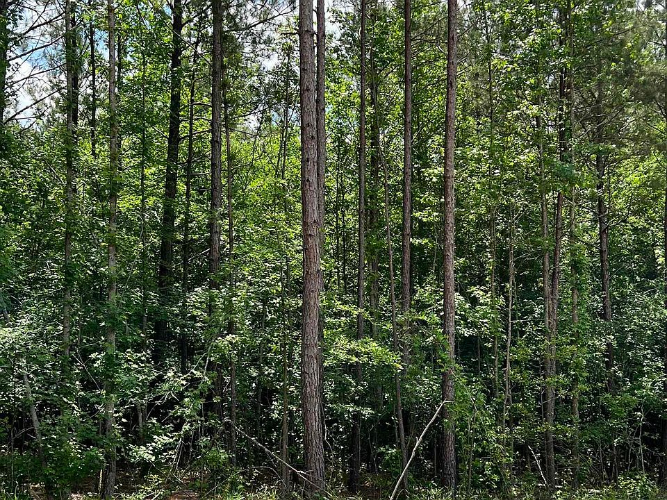 2nd image of 11 Tract