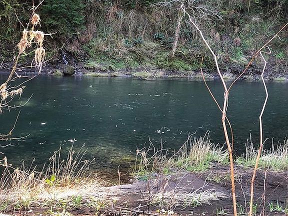 3rd image of 12665 Wilson River Hwy
