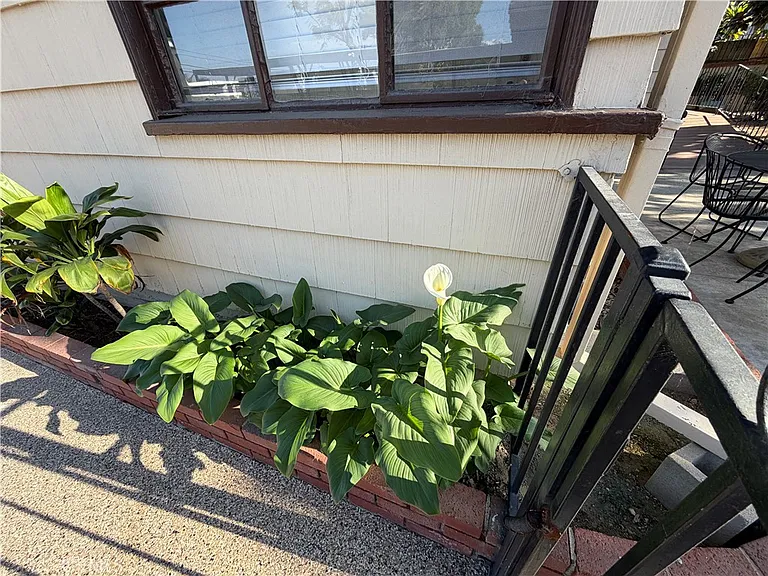 3590 Buchanan St — Photo 50