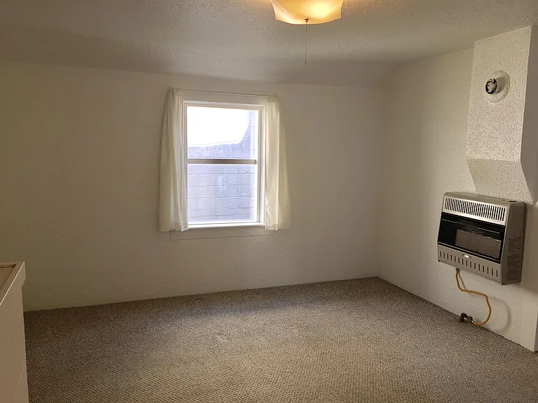 The natural gas heating unit located in the main living room.
