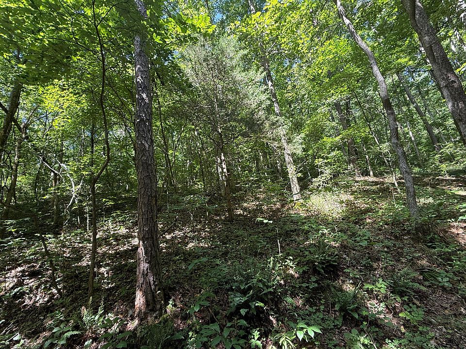 2nd image of 000 County Road 179