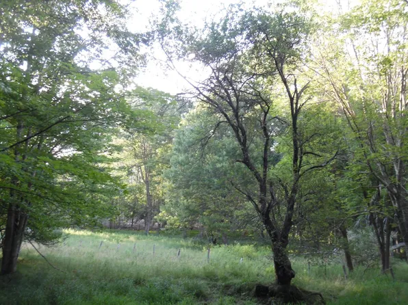 1937 E Woodrow Branch Rd, Marlinton, WV 24954