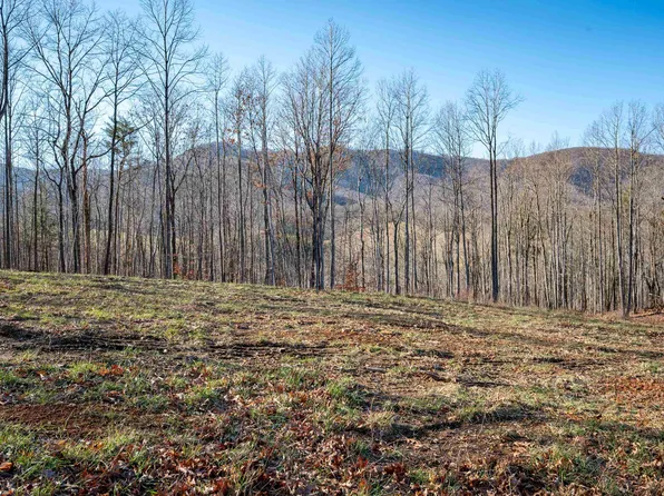 1590 Mill House Rd, Woolwine, VA 24185