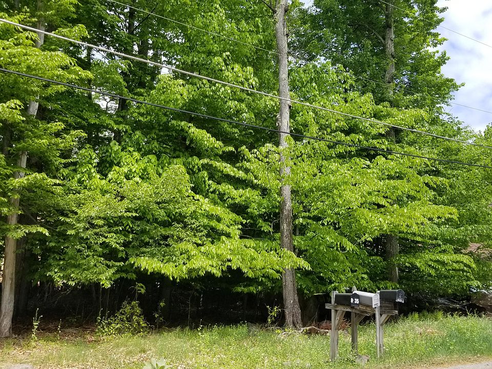 2nd image of 409 Bumble Bee Way #409