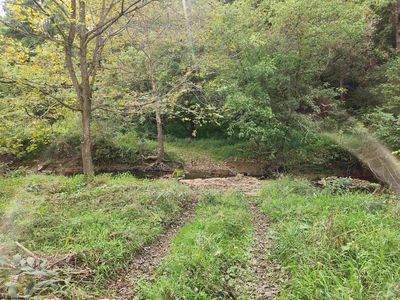 65 Buckwheat Ln, Lost Creek, WV, 26385