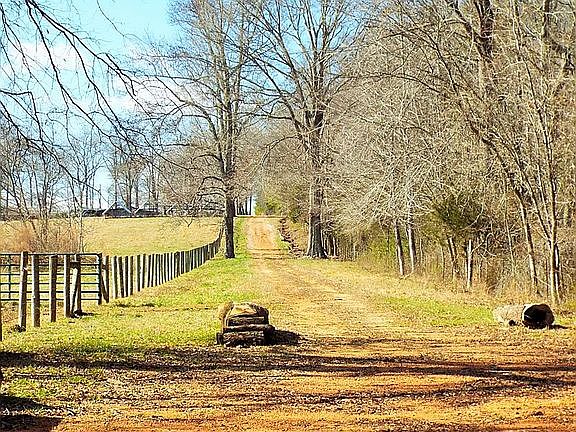 5th image of 2530 County Road 69