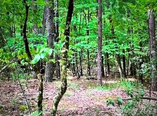 0 Sanderling Ct, Lake Lure, NC 28746