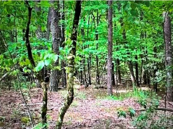 0 Sanderling Ct, Lake Lure, NC 28746