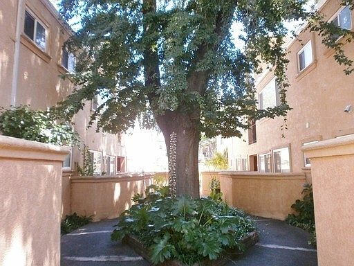 2nd image of 1821 G St APT F