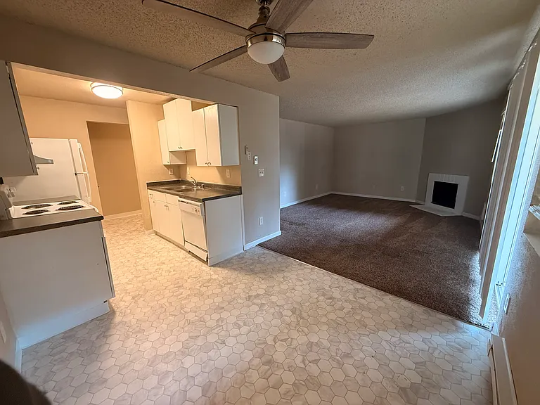 3909 Mason Loop Rd #1 — Photo 5