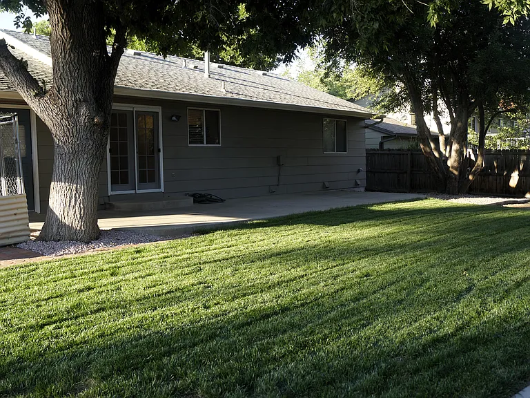 Shady backyard with concrete patio.