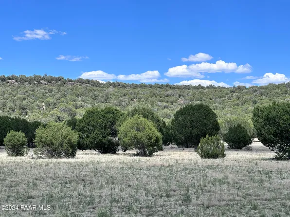 712S E Midnight Sky Rd, Seligman, AZ 86337