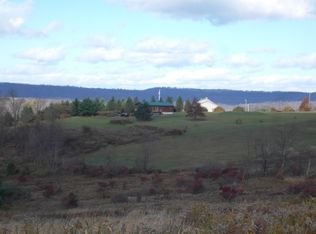 111 Valleyview Ln, Forksville, PA 18616