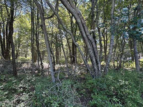 5th image of LOT 45 Elk Dr Lot 45
