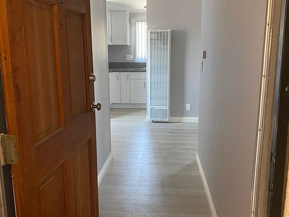 Interior Door and Entrance into the apartment