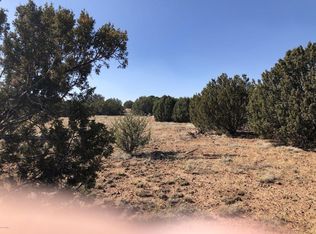 1986 Silver Lake Blvd, Show Low, AZ 85901