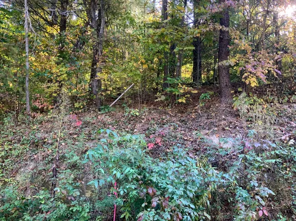 State Route 325, Vinton, OH 45686