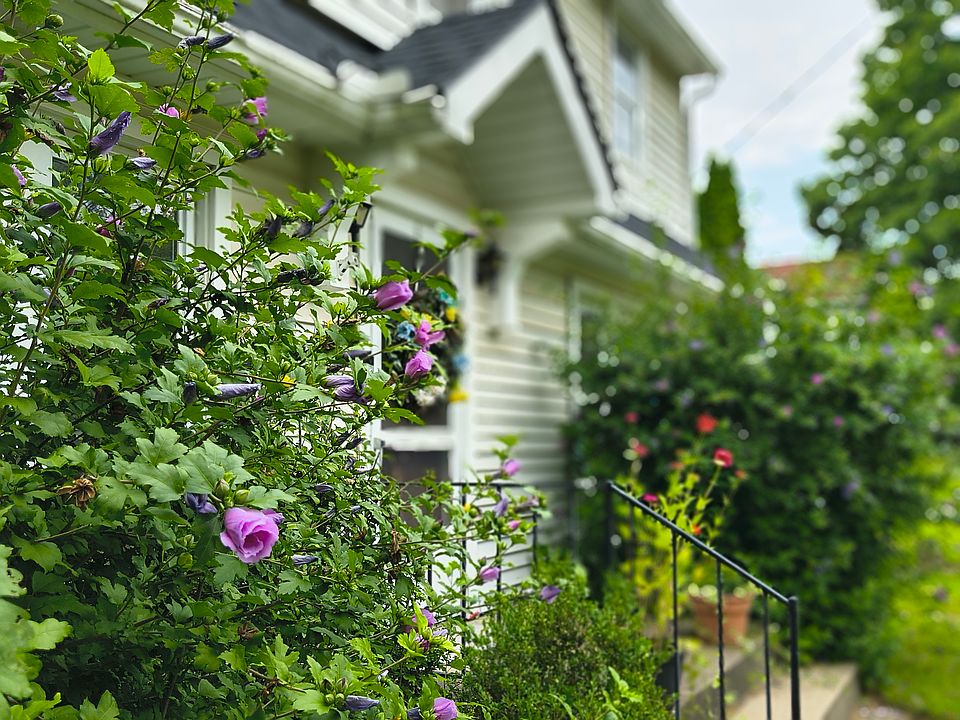 Front of the house