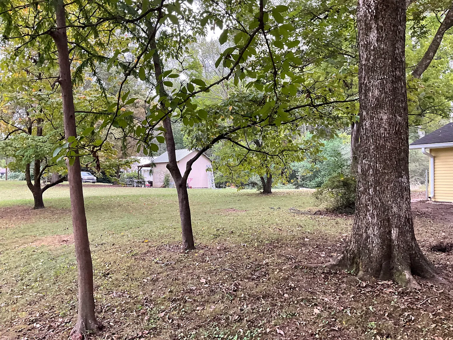 5 bed, 2000 sqft, $1,800 — Photo 3