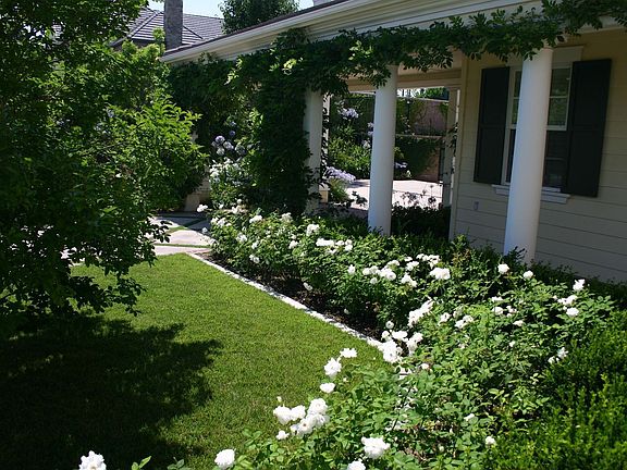 Lush landscaping everwhere