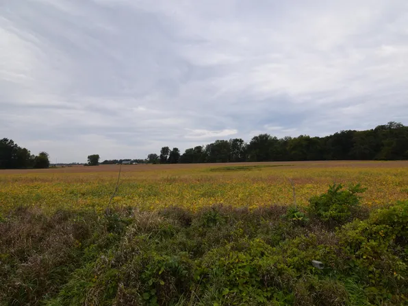 Rierson Rd, Bronson, MI 49028