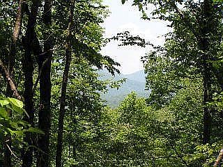 Lot 3 view