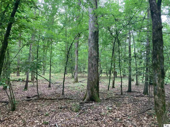 0 Krause Rd, Homer, LA 71040