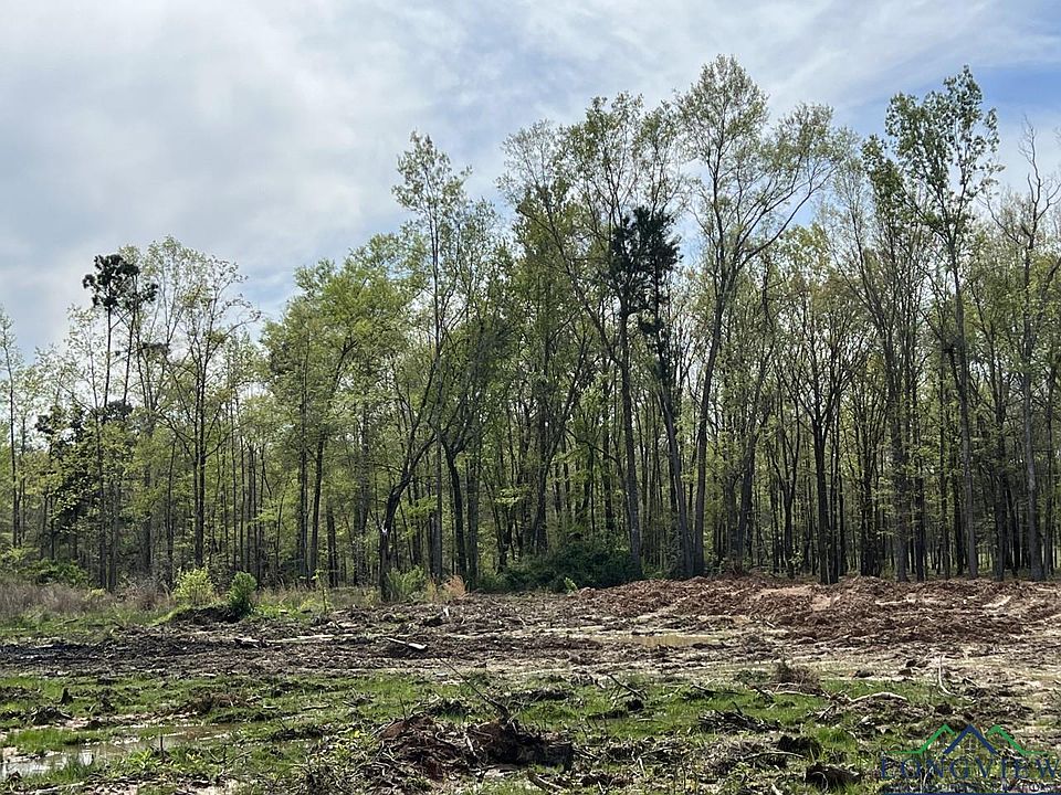 1 Waldrons Ferry Rd, Hallsville, TX 75650 MLS 20236692 Zillow