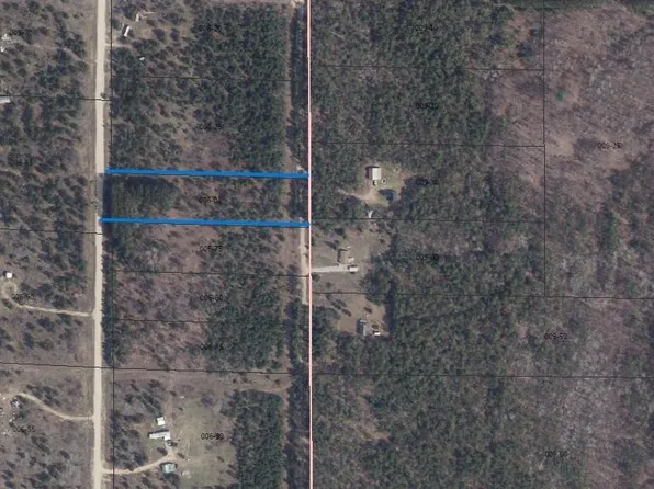 4658 Tucker Rd, Elmira, MI 49730