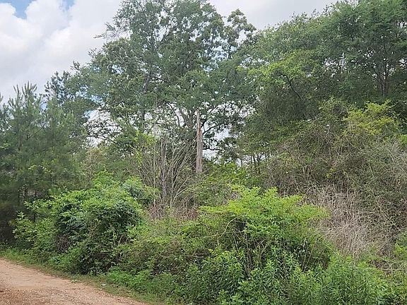 5th image of 10-B53 Sweetleaf Ln