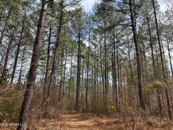 E Homochitto Rd, Gloster, MS 39638