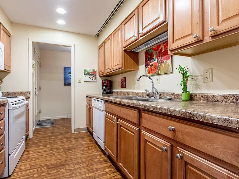 Shaker Cabinetry and Granite-Inspired Countertops
