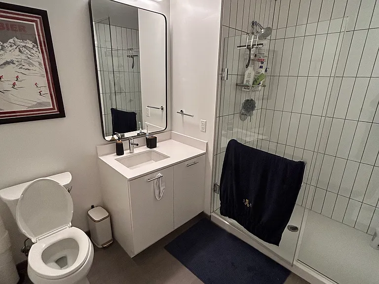 33 S Peoria St #9T — Photo 12