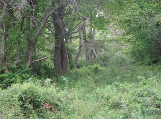Daniels Ave, Conneaut, OH 44030