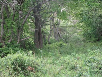 Daniels Ave, Conneaut, OH, 44030
