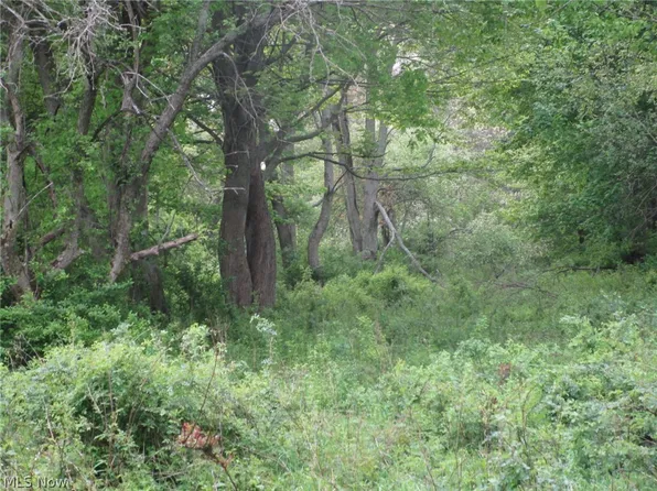 Daniels Ave, Conneaut, OH 44030