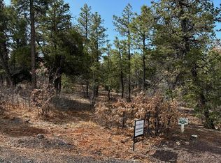 2280 S Stone Canyon Rd, Show Low, AZ 85901