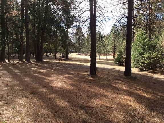 2nd image of Sugar Pine Dr #003-030-01