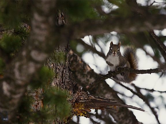 4th image of 405 Resolute Ridge Rd