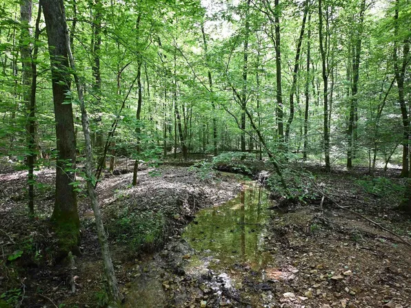 4 Lick Creek Rd, Linden, TN 37096