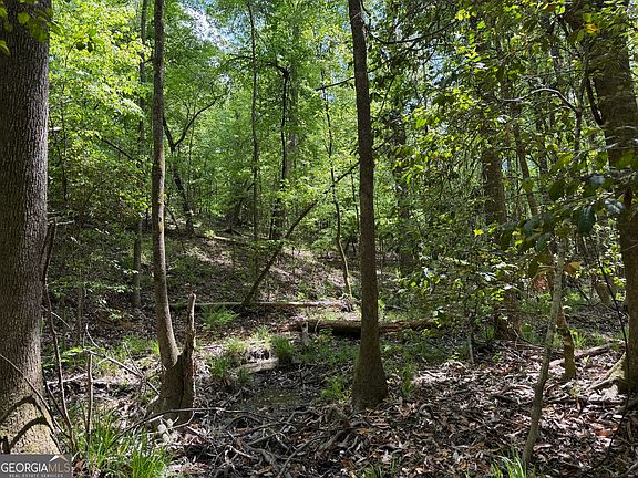 5th image of 77 George Milling Rd