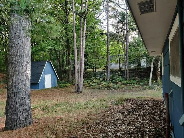 250 E Piney Rd — Photo 4