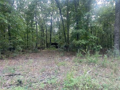 0 Wayne #505, Greenville, MO, 63944