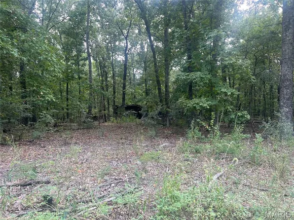 0 Wayne #505, Greenville, MO 63944